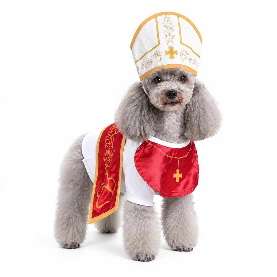 Poodle wearing the Pope robe